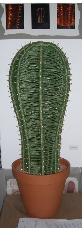 SHOW08_cactus